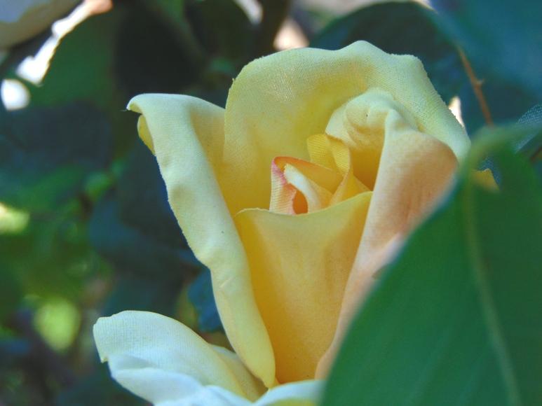 Bocciolo di rosa con 6 foglie in poliestere - Sconti per Fioristi e Aziende .
