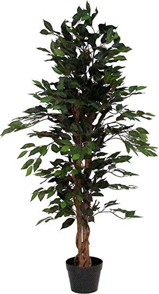 Ficus Benjamin x 43 verde - Sconti per Fioristi e Aziende - Artificiale