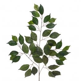 Ficus Benjamin x 43 verde - Sconti per Fioristi e Aziende - Artificiale