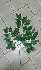 Ficus Benjamin x 43 verde - Sconti per Fioristi e Aziende - Artificiale