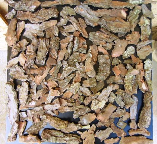 Corteccia di Pino Naturale - Sconti per Fioristi e Aziende . -  busta gr. 500