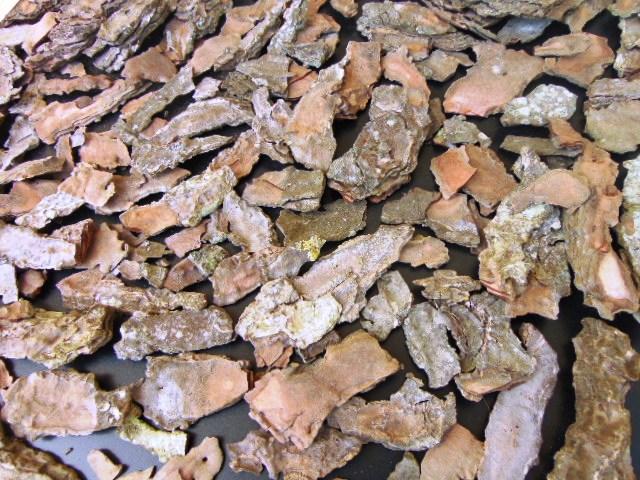 Corteccia di Pino Naturale - Sconti per Fioristi e Aziende . -  busta gr. 500