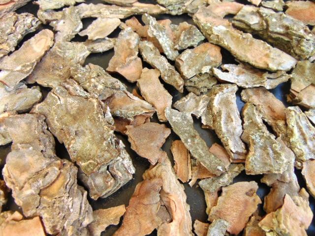 Corteccia di Pino Naturale - Sconti per Fioristi e Aziende . -  busta gr. 500