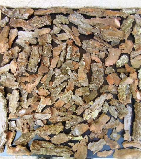 Corteccia di Pino Naturale - Sconti per Fioristi e Aziende . -  busta gr. 500