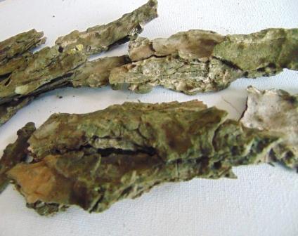 Corteccia di Pino Naturale - Sconti per Fioristi e Aziende . -  busta gr. 500