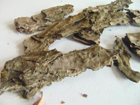 Corteccia di Pino Naturale - Sconti per Fioristi e Aziende . -  busta gr. 500