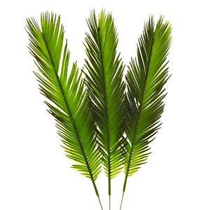 Foglia di Cycas in gomma - Sconti per Fioristi e Aziende - Animato