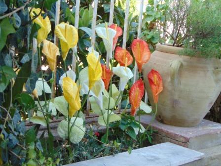 Calla x 3 in paperoof H 70 - Sconti per Fioristi e Aziende .