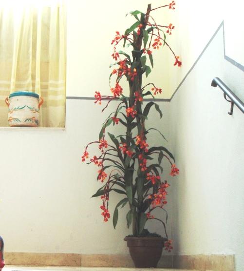 Bilbergia Plant H 180 x 7 - Sconti per Fioristi e Aziende - Artificiale