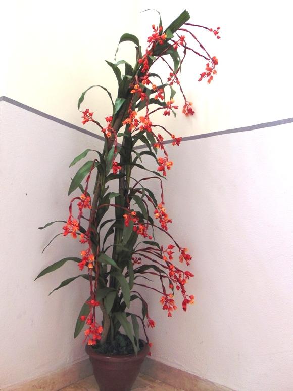 Bilbergia Plant H 180 x 7 - Sconti per Fioristi e Aziende - Artificiale