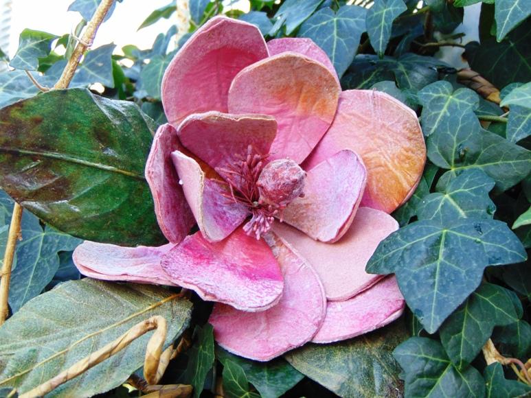 Magnolia Branch x 3 in Polifoam - Sconti per Fioristi e Aziende .