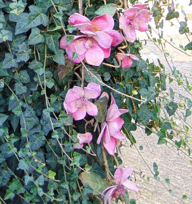 Magnolia Branch x 3 in Polifoam - Sconti per Fioristi e Aziende .