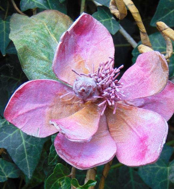 Magnolia Branch x 3 in Polifoam - Sconti per Fioristi e Aziende .