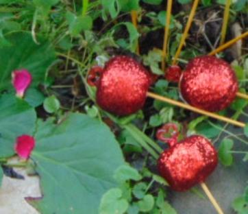 Frutta steccata glitterata  in 4 modelli - Sconti per Fioristi e Aziende