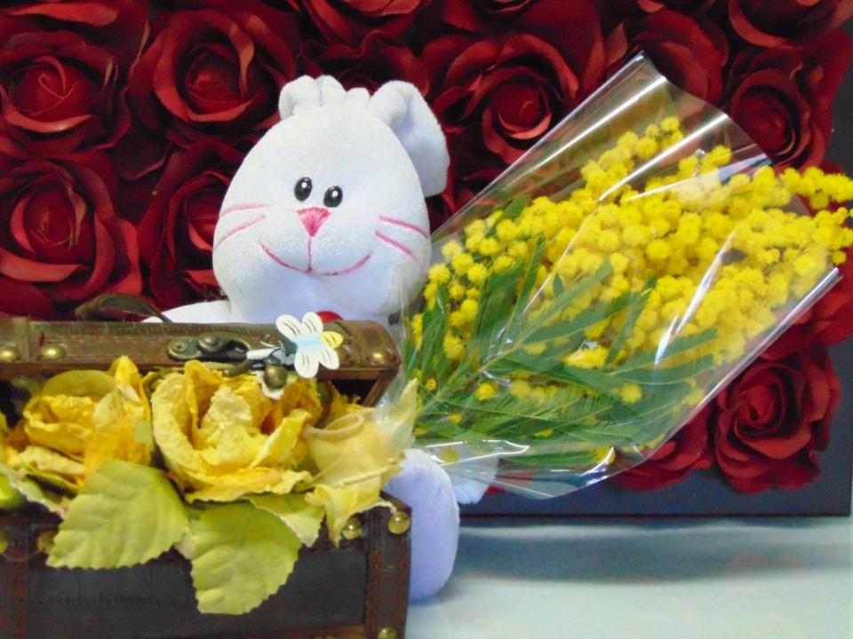 ESAURITA Mimosa fresca in busta  - Sconti per Fioristi e Aziende - Trasparente rami da cm. 20/25 - 30/40 - 45/50