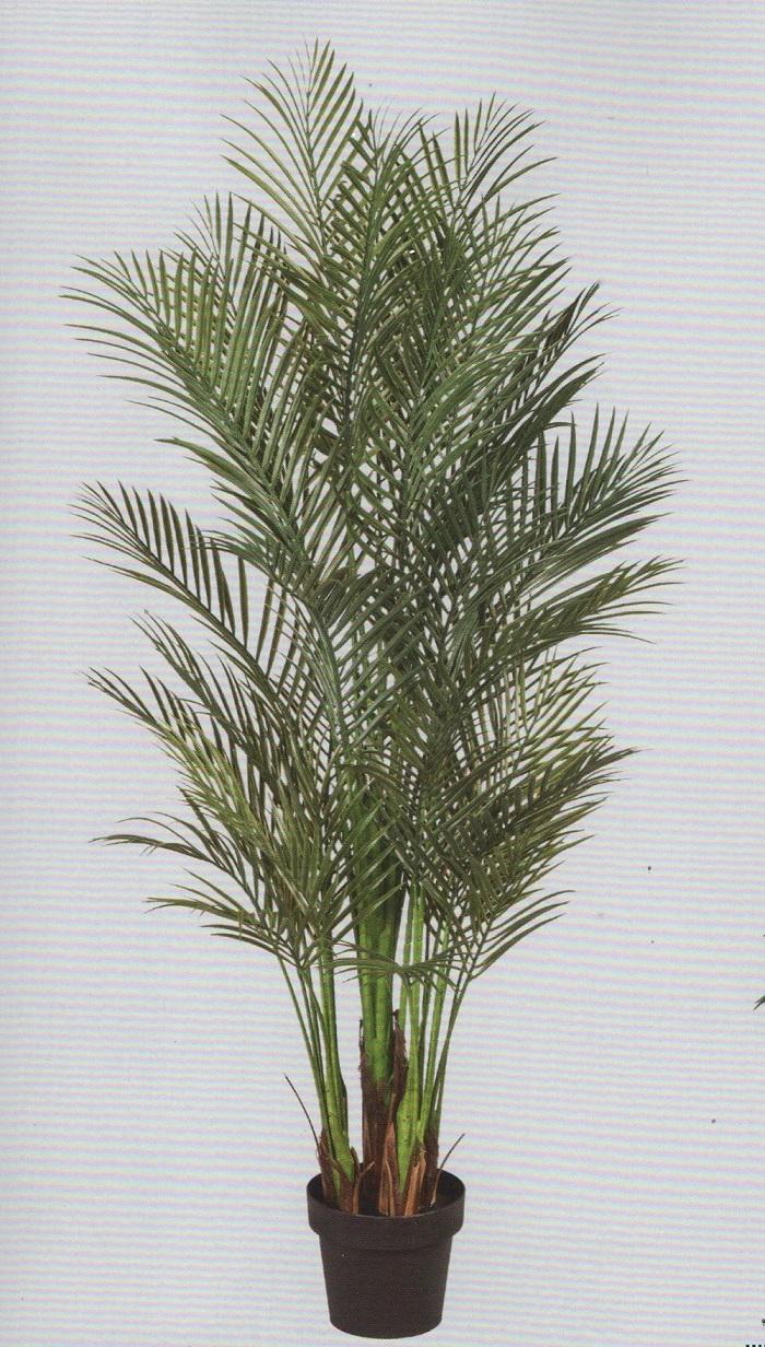 Areca Palm H 160 in vaso  - Sconti per Fioristi e Aziende . - Artificiale con 1076 foglie