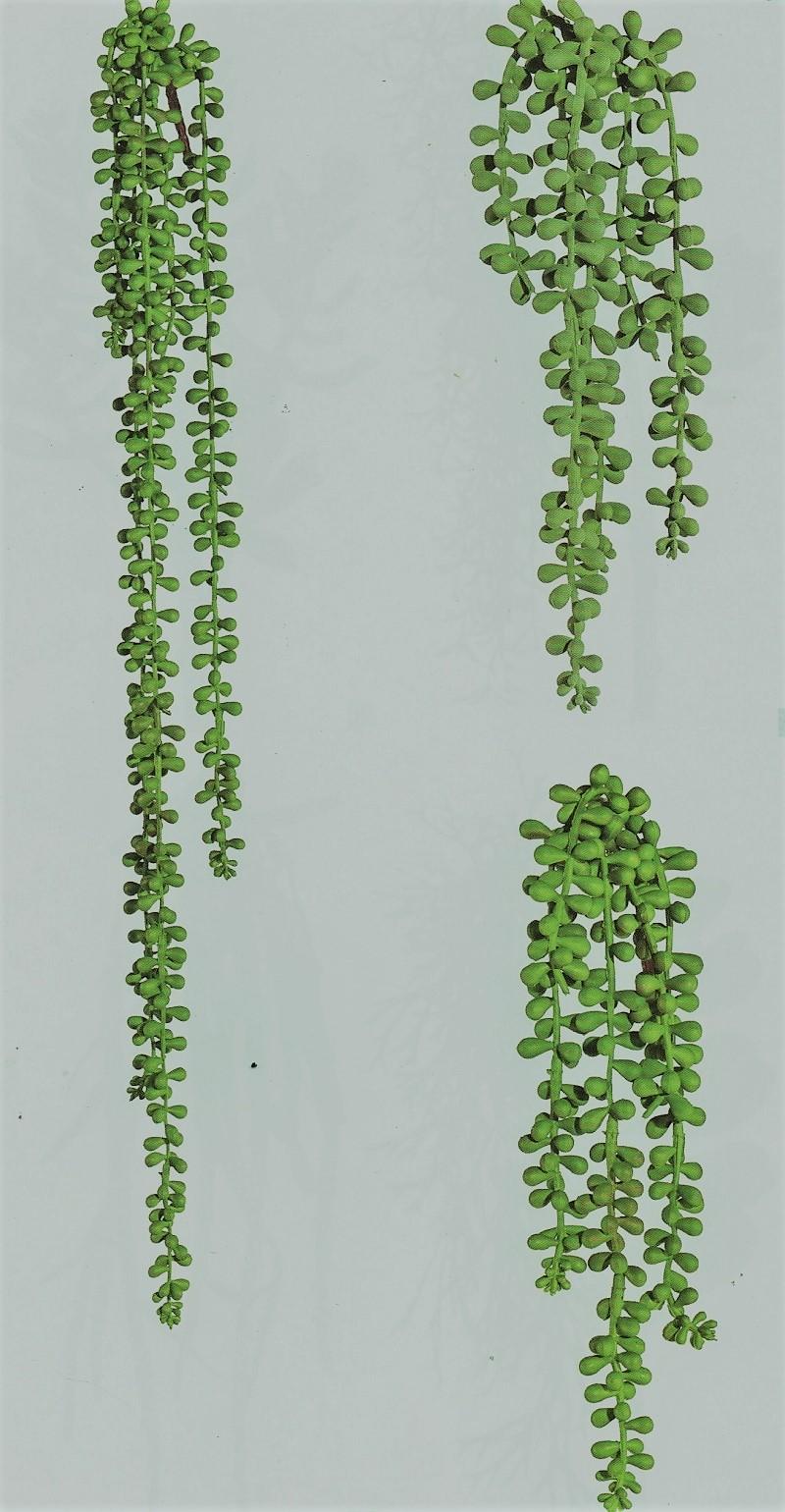 Senecio x 5 in gomma H 70 - Sconti per Fioristi e Aziende . - - Pianta del rossario Cadente