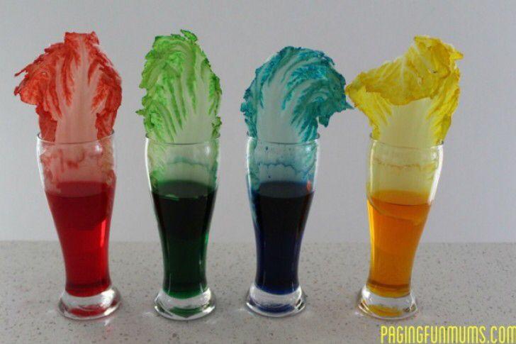 Colorante liquido per Acqua flacone da ml. 250 - Sconti per Fioristi e Aziende