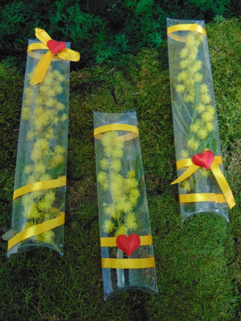 ESAURITA Mimosa fresca in tubo H 15 - Sconti per Fioristi e Aziende - in PVC trasparente