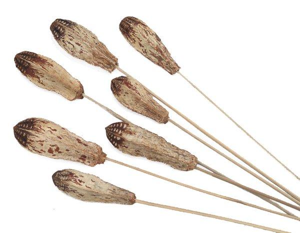 Mehogny Naturale H 65 Steccato Conf. 6 pezzi - Sconti per Fioristi e Aziende