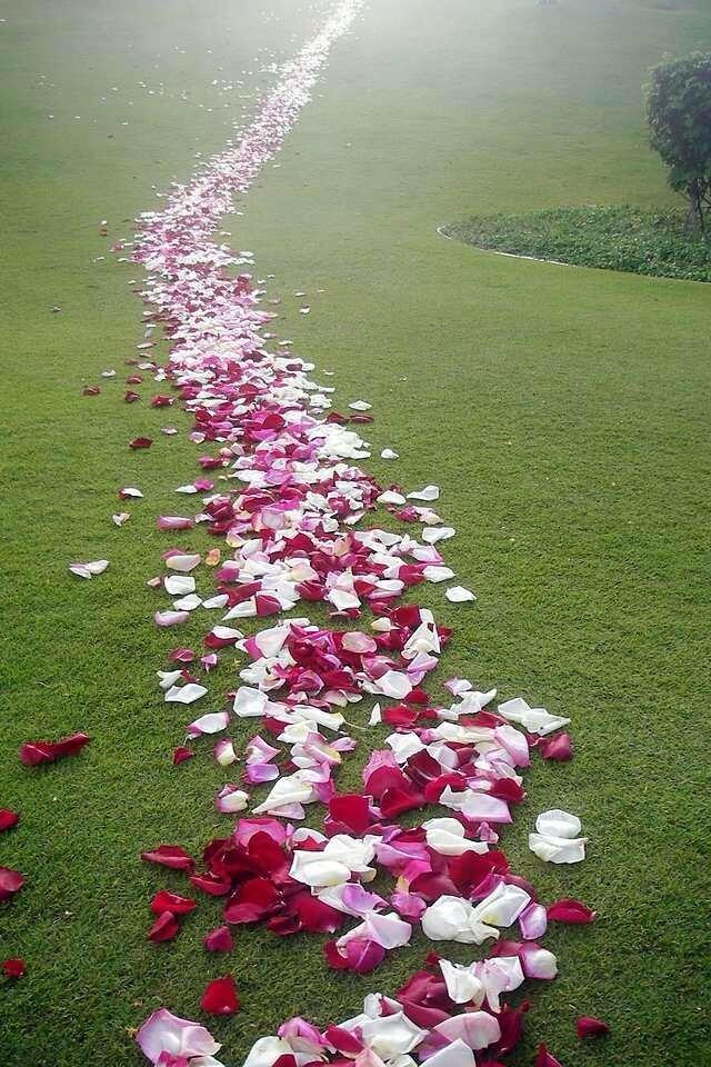 Petali di rosa x 100 artificiali - Sconti per Fioristi e Aziende - in poliestere