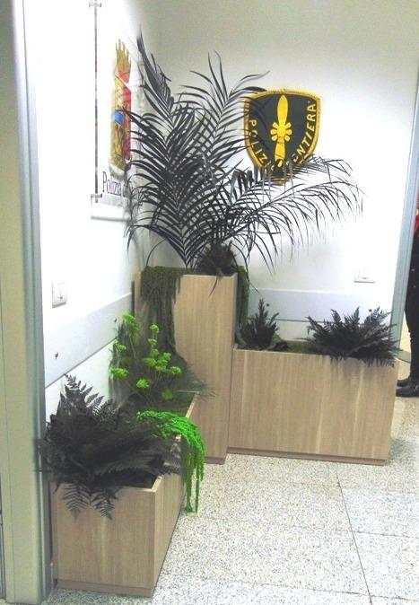 Kenzia preservata H 100 - Sconti per Fioristi e Aziende . - Smaltata o Naturale Dry