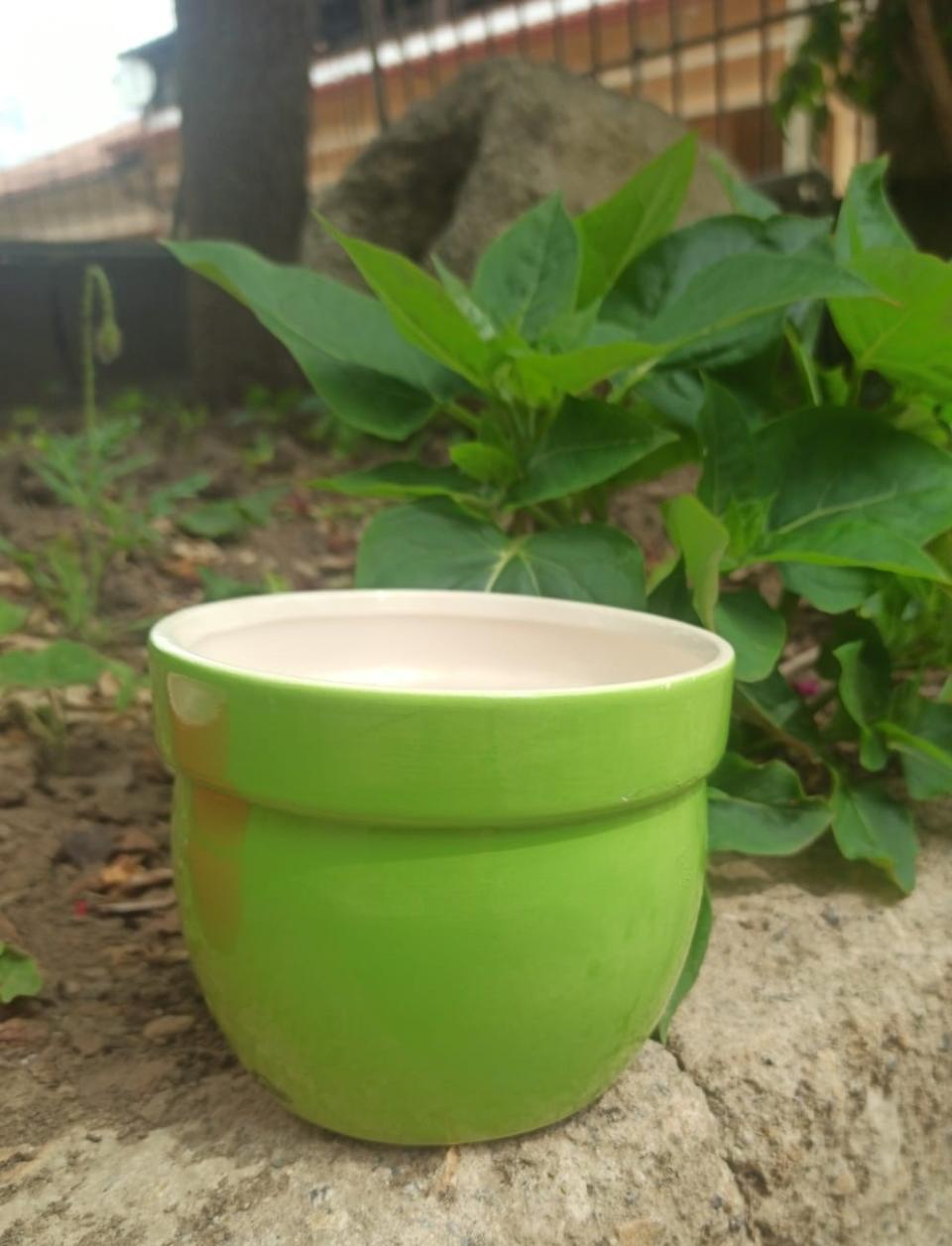 Casponcino Smaltato lucido H 9 dm.10 - Sconti per Fioristi e Aziende