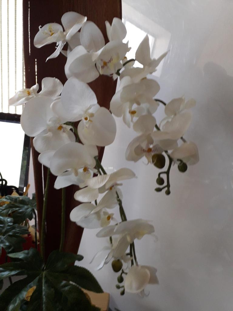 Orchidea Falenopsis H 98 - Sconti per Fioristi e Aziende - Artificiale