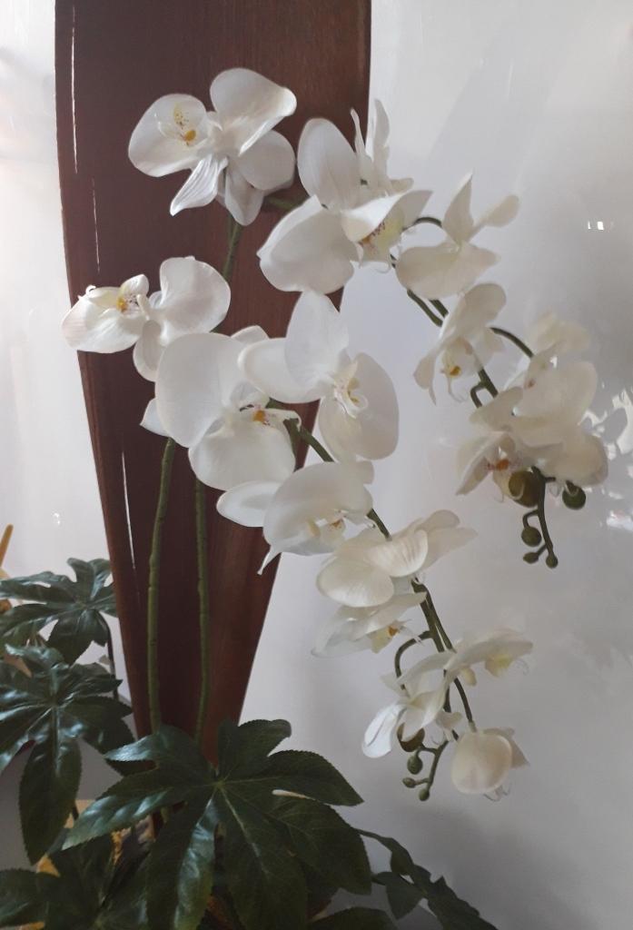 Orchidea Falenopsis H 98 - Sconti per Fioristi e Aziende . - Artificiale