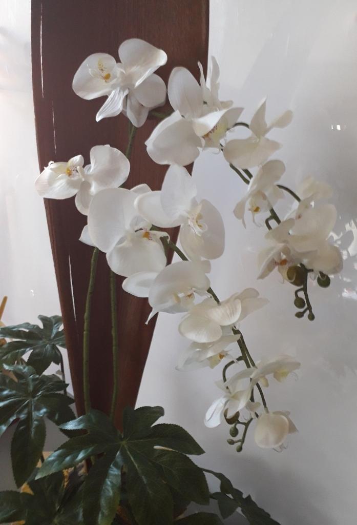 Orchidea Falenopsis H 98 - Sconti per Fioristi e Aziende - Artificiale