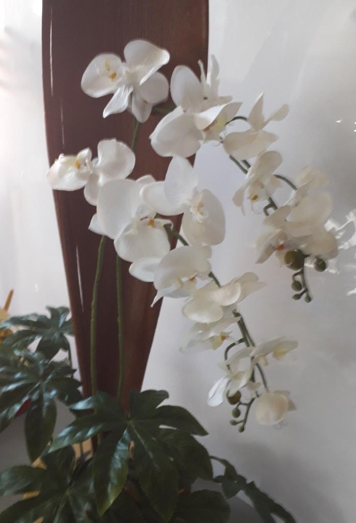 Orchidea Falenopsis H 98 - Sconti per Fioristi e Aziende . - Artificiale