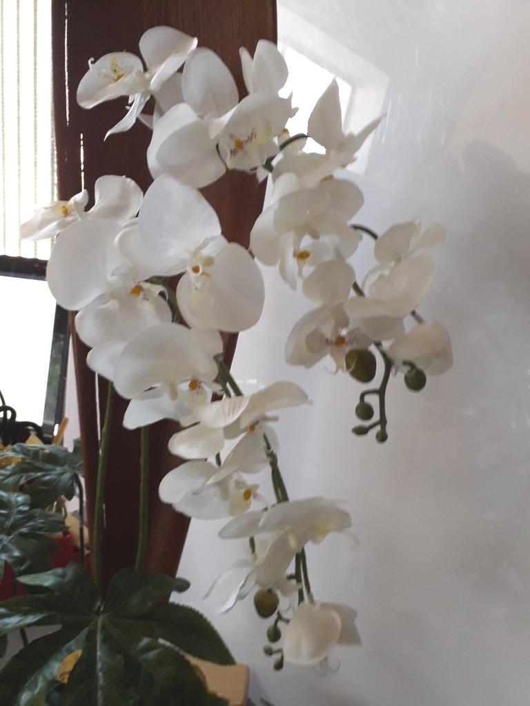 Orchidea Falenopsis H 98 - Sconti per Fioristi e Aziende - Artificiale