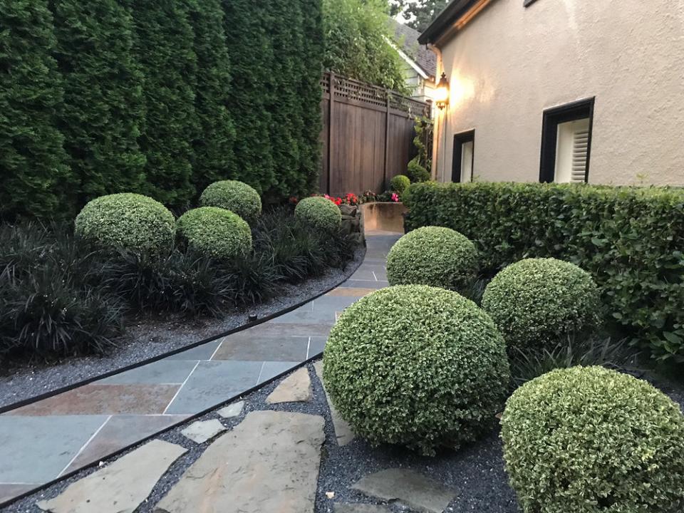 Boxwood Ball dm. 35-45-52 - Sconti per Fioristi e Aziende - Artificiale in Plastica
