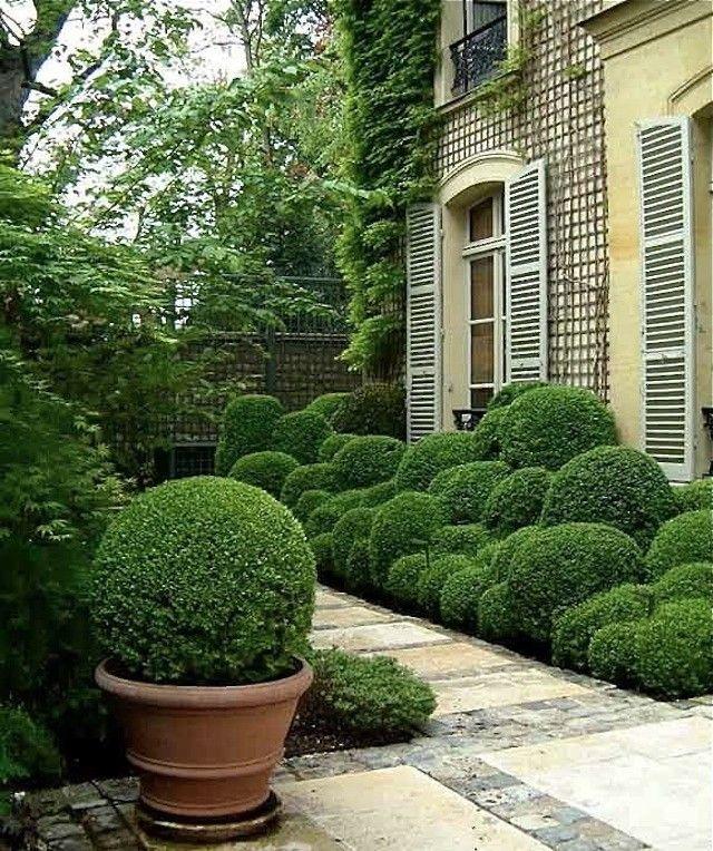Boxwood Ball dm. 35-45-52 - Sconti per Fioristi e Aziende - Artificiale in Plastica