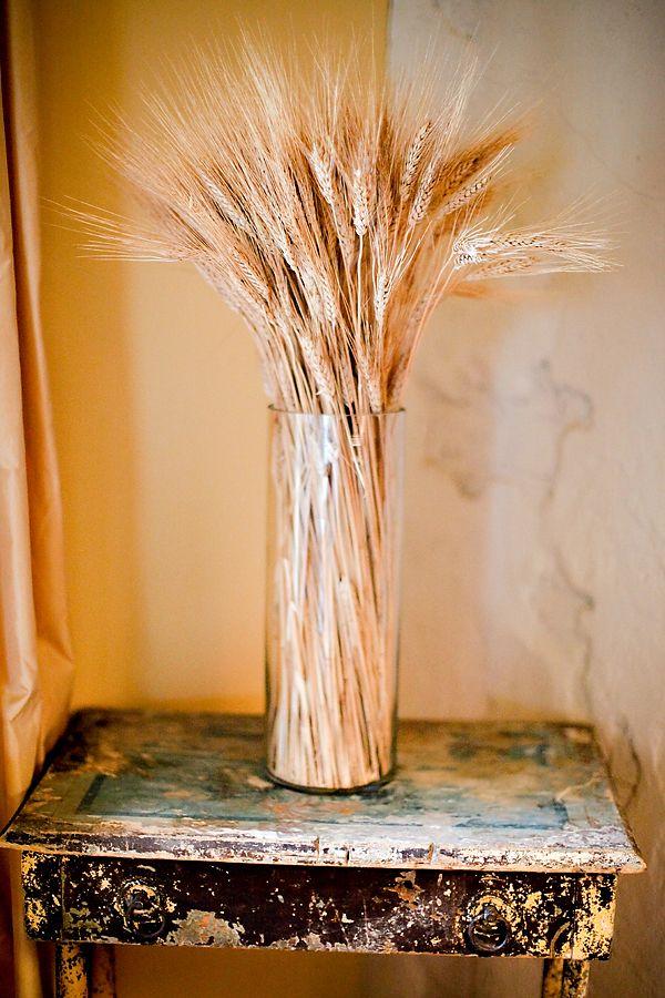 Spighe di grano stabilizzato mazzo 100 steli - Sconti per Fioristi e Aziende