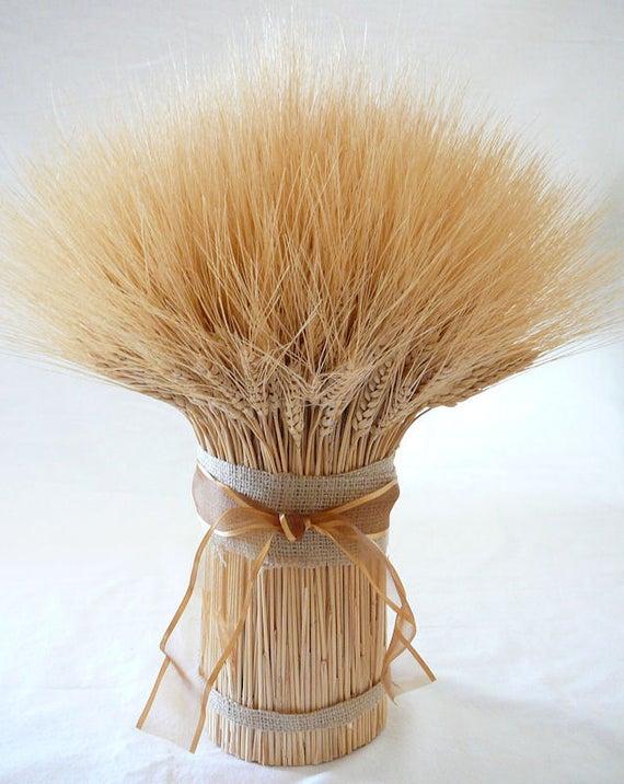 Spighe di grano stabilizzato mazzo 100 steli - Sconti per Fioristi e Aziende