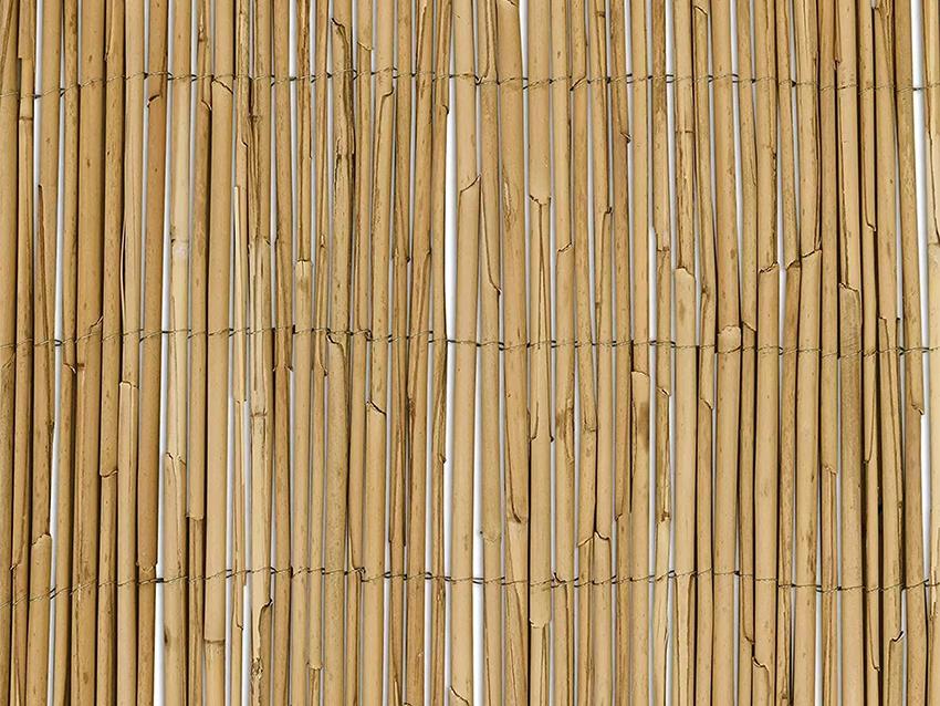Arella di Canniccio Legato - Sconti per Fioristi e Aziende . - Canna intera H 300 x 3 metri
