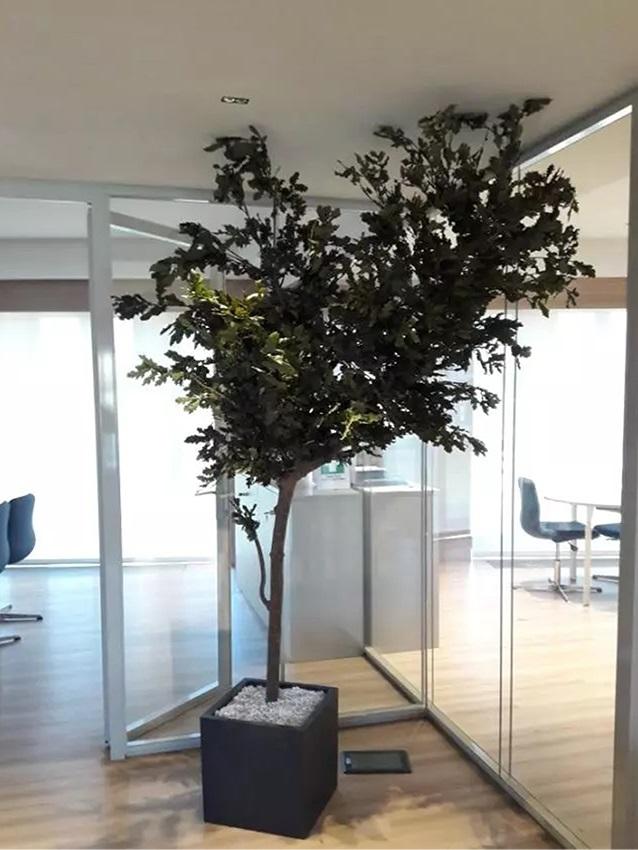 Quercia Naturale Stabilizzata  - Sconti per Fioristi e Aziende - Busta Kg.1 Rami H 90/100