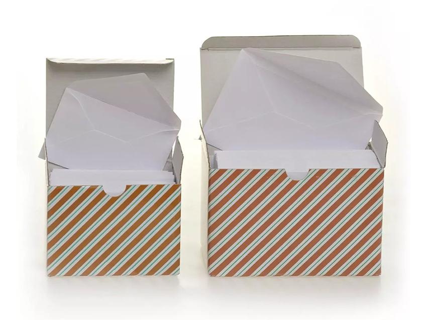 Box 100 Buste Bianche - Sconti per Fioristi e Aziende - Box solo buste