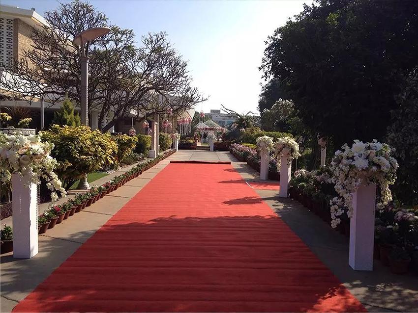 Passatoia Corsia H 200 - Sconto per Fioristi e Aziende . - Rotolo mt. 50