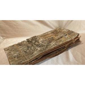 Corteccia di Betulla cm. 12 x 8  - Sconti per Fioristi e Aziende . - Conf. 12 Pannelli Calibrati