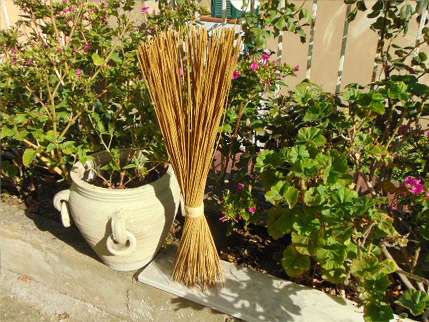 Giunco Steck H 80 da Kg. 1 - Sconti per Fioristi e Aziende . - Naturale e Colorato