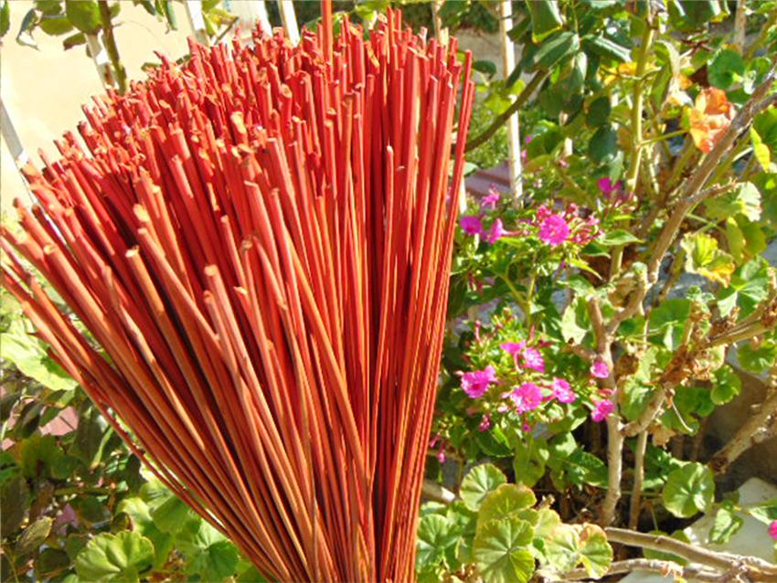 Giunco Steck H 80 da Kg. 1 - Sconti per Fioristi e Aziende . - Naturale e Colorato