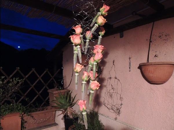 Fialette Vendute sfuse in cartone misure diverse - Sconti per Fioristi e Aziende