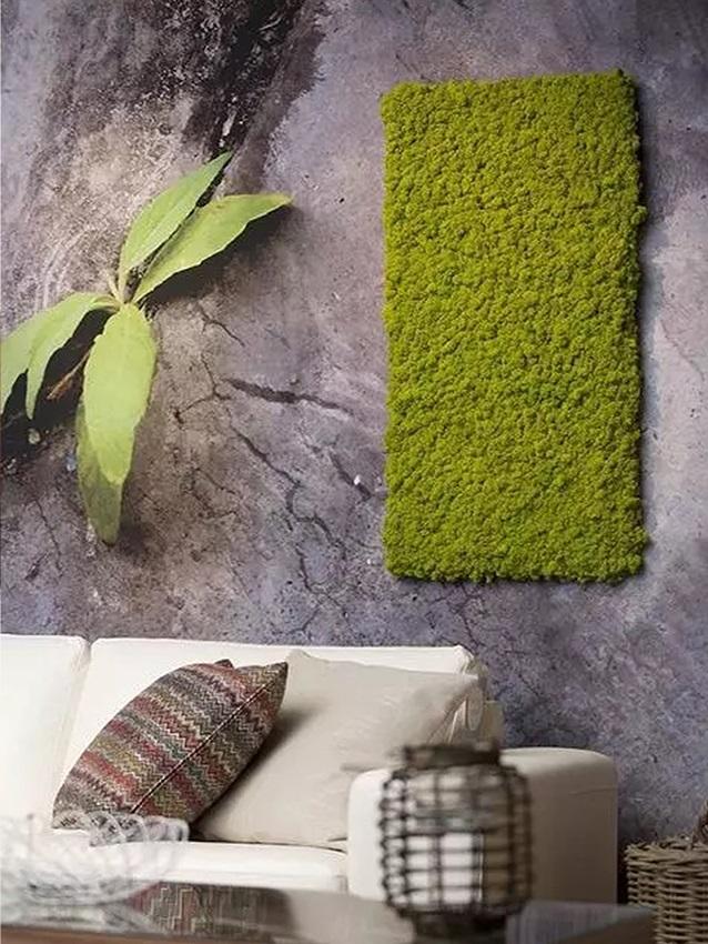 Muschio Nordico Naturale gr. 500 Preservato - Sconti per Fioristi e Aziende Fiorissima Lichene preservato