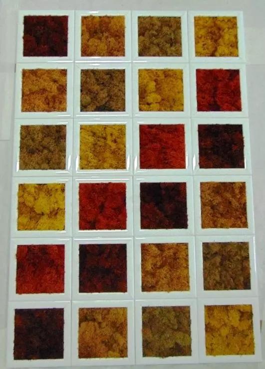 Quadro moss cm. 20 x 20 - Sconti per Fioristi e Aziende . - Head o Flat work