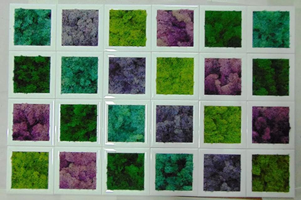 Quadro moss cm. 20 x 20 - Sconti per Fioristi e Aziende . - Head o Flat work