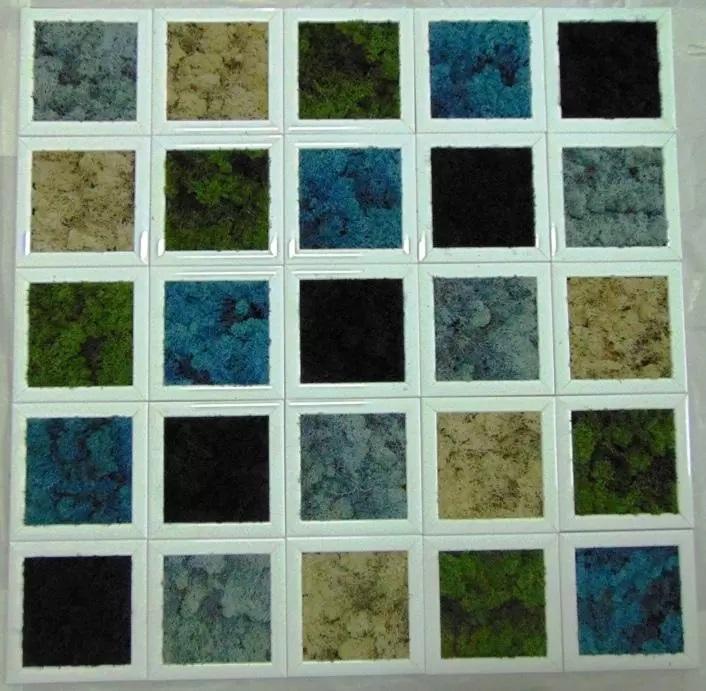 Quadro moss cm. 20 x 20 - Sconti per Fioristi e Aziende . - Head o Flat work