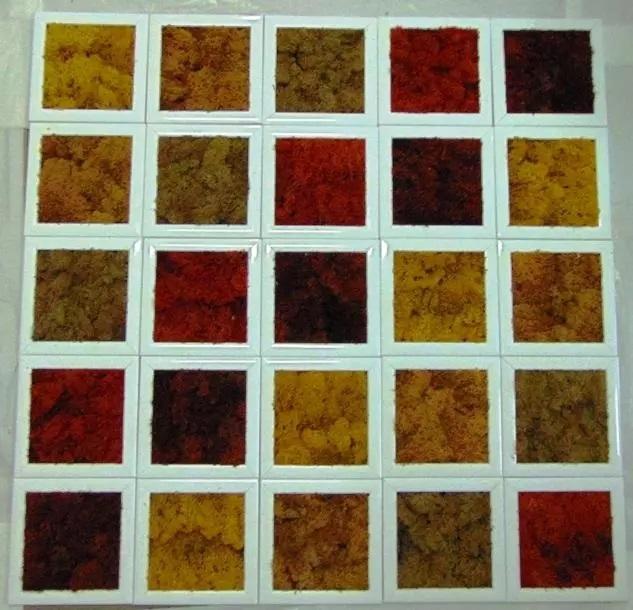 Quadro moss cm. 20 x 20 - Sconti per Fioristi e Aziende . - Head o Flat work