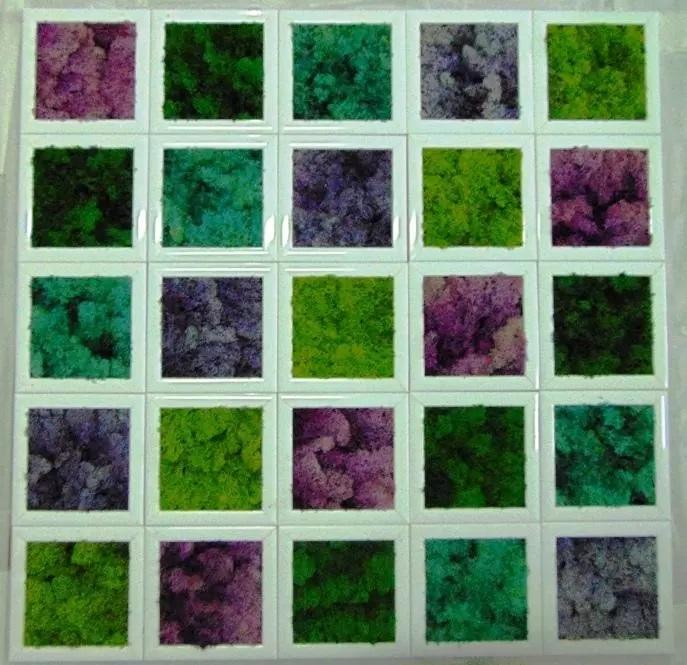 Quadro moss cm. 20 x 20 - Sconti per Fioristi e Aziende . - Head o Flat work